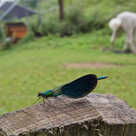 Posada Pet Friendly El Molino De Cantabria Entrambasaguas  ภายนอก รูปภาพ