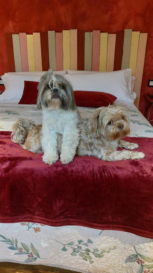 Posada Pet Friendly El Molino De Cantabria Entrambasaguas  ภายนอก รูปภาพ