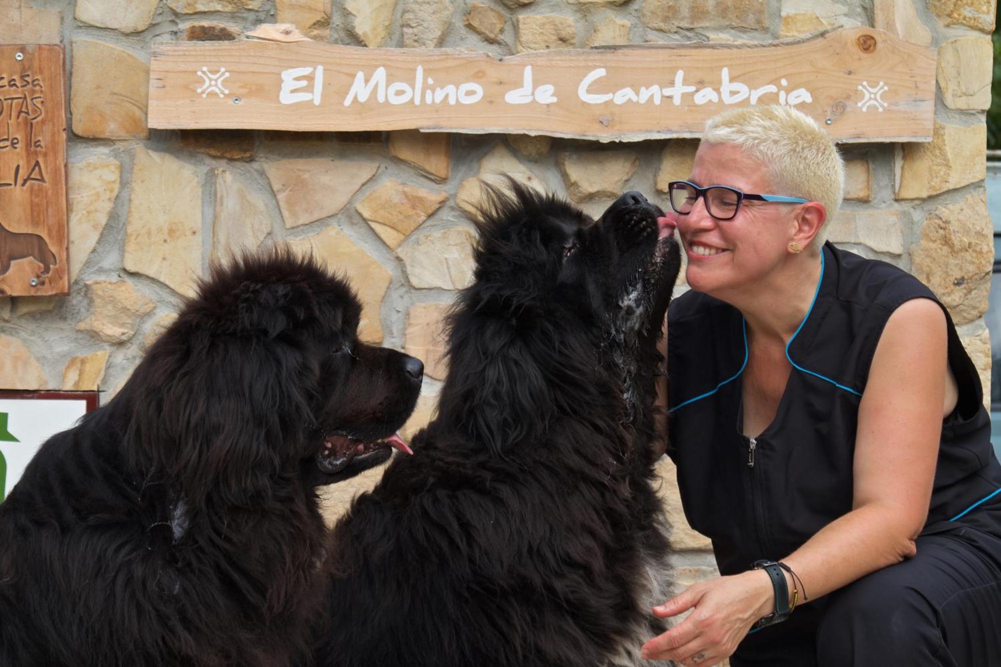 Posada Pet Friendly El Molino De Cantabria Entrambasaguas  ภายนอก รูปภาพ