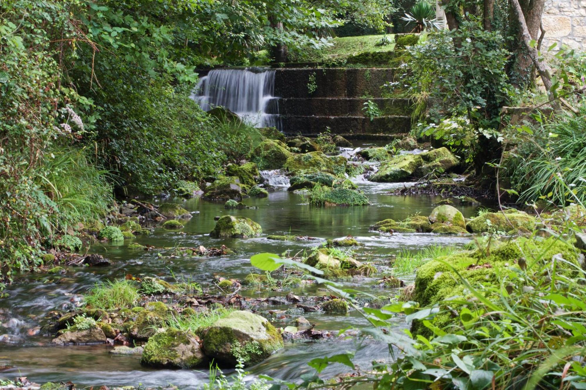 Posada Pet Friendly El Molino De Cantabria Entrambasaguas  ภายนอก รูปภาพ